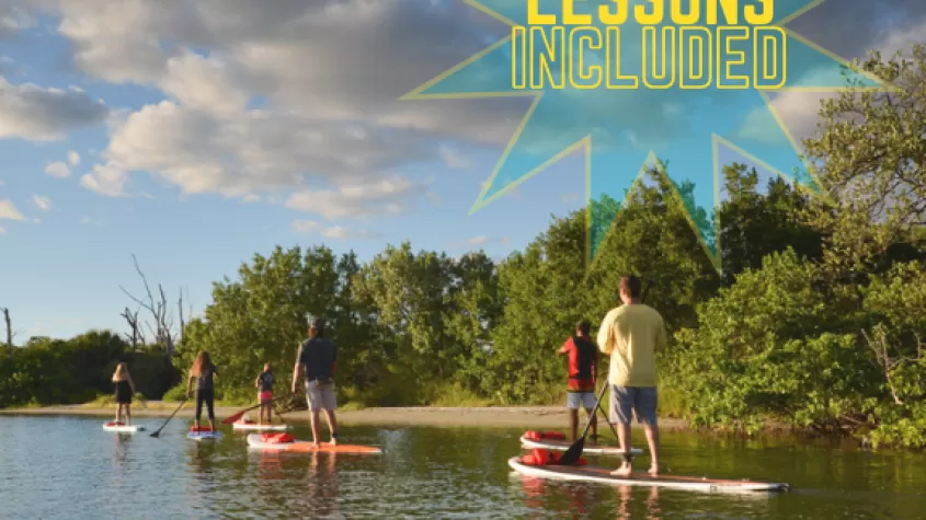 people paddle boarding 