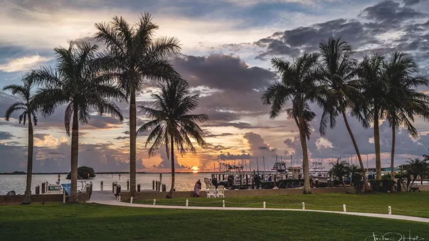 Waterfront Sunset