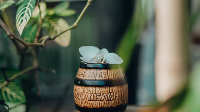 Amazing Small Plates