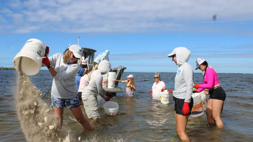 volunteers emptying buckets of shells