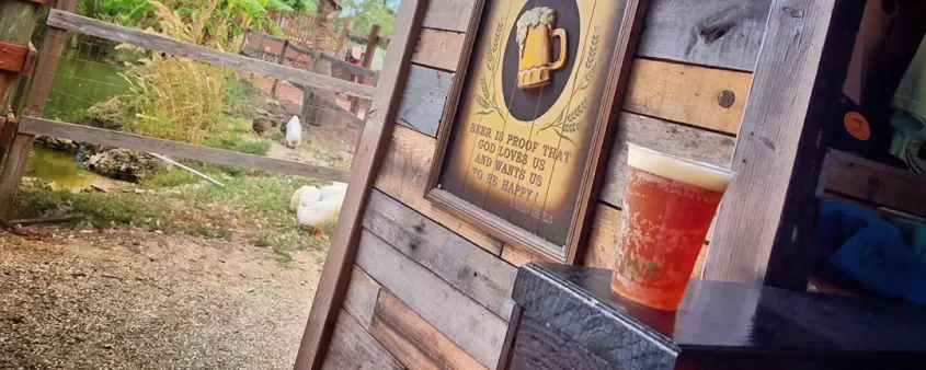 Crazy Dingo Brewery