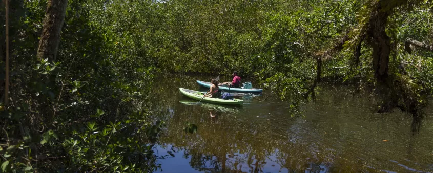 Koreshan State Park