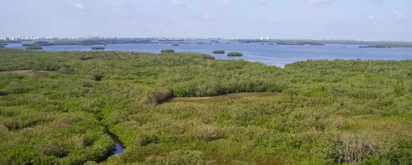 Estero Bay Preserve State Park